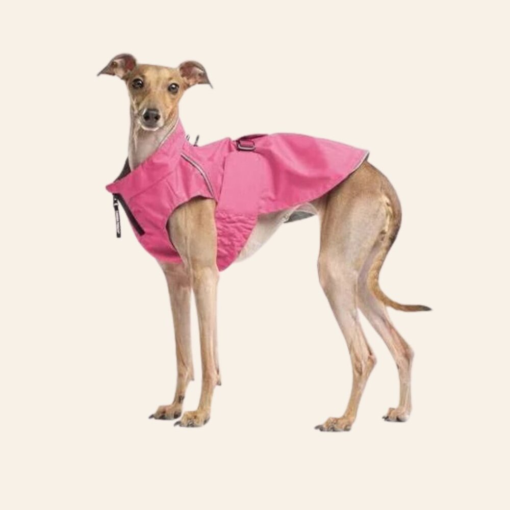 Canada Pooch Pink Expedition Raincoat (Size34, )